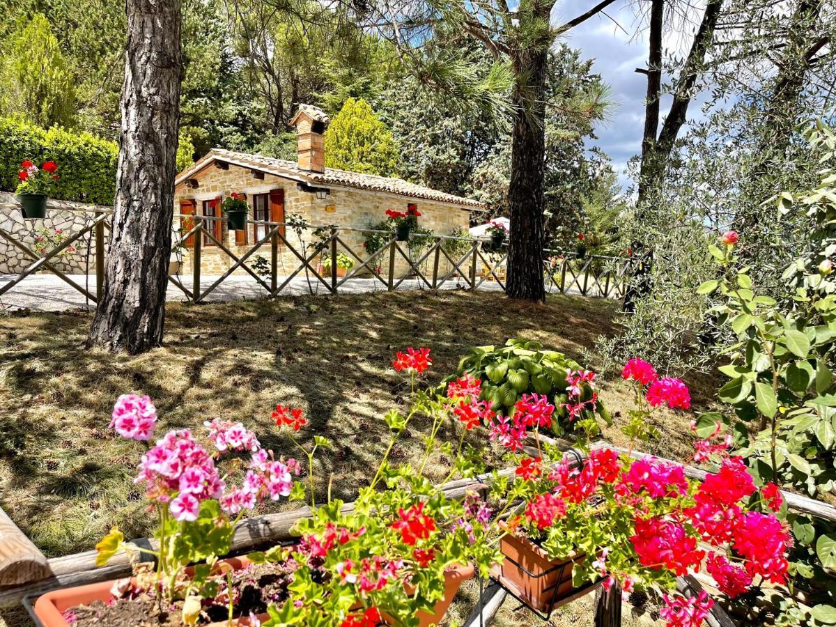 La Panoramica Gubbio - Maison De Charme - Casette E Appartamenti Self Catering Per Vacanze Meravigliose! エクステリア 写真