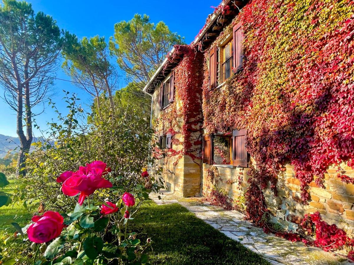 La Panoramica Gubbio - Maison De Charme - Casette E Appartamenti Self Catering Per Vacanze Meravigliose! エクステリア 写真