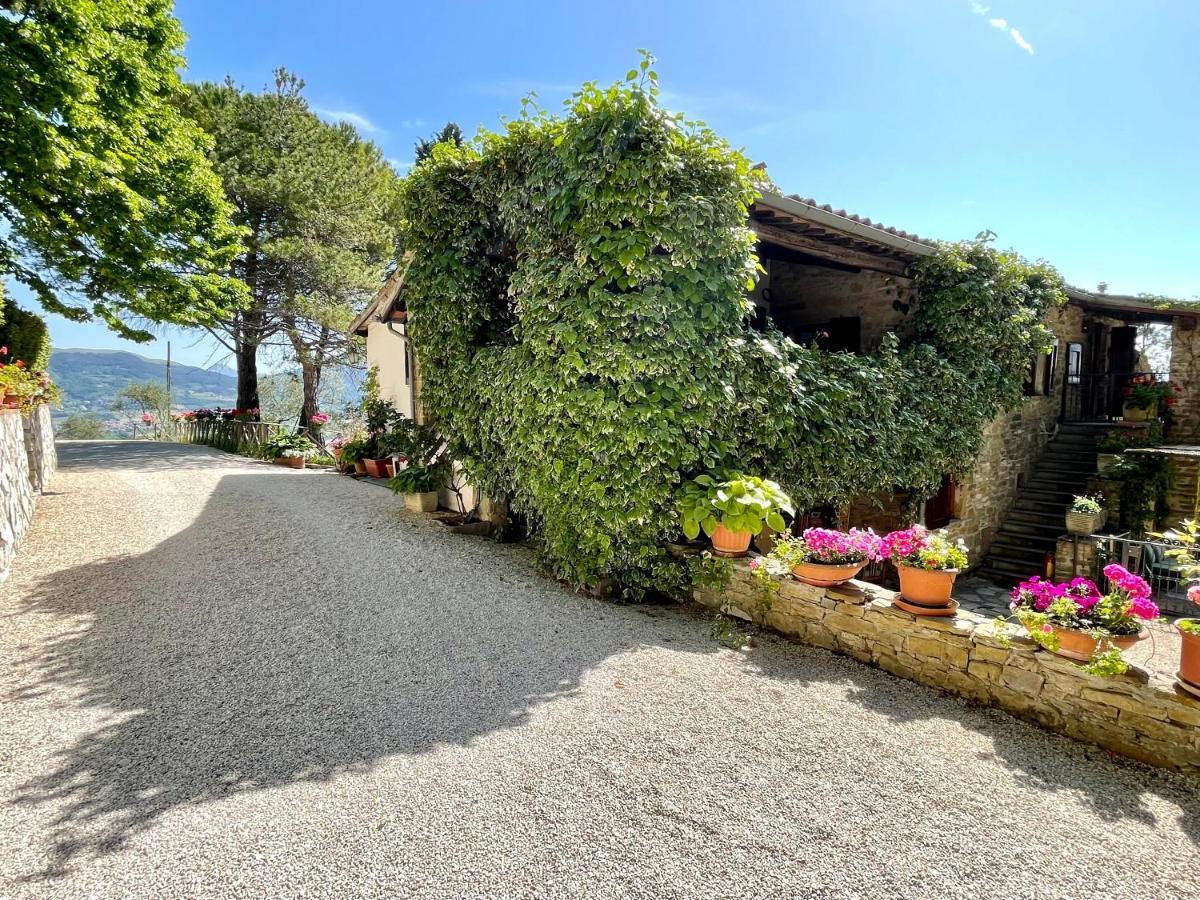 La Panoramica Gubbio - Maison De Charme - Casette E Appartamenti Self Catering Per Vacanze Meravigliose! エクステリア 写真