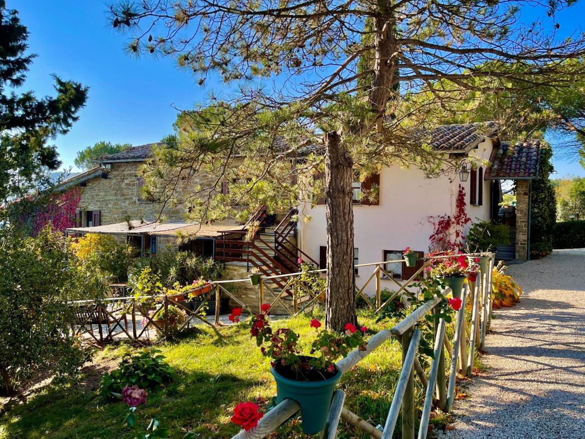 La Panoramica Gubbio - Maison De Charme - Casette E Appartamenti Self Catering Per Vacanze Meravigliose! エクステリア 写真